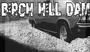 logo Birch Hill Dam